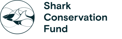 Shark Conservation Fund