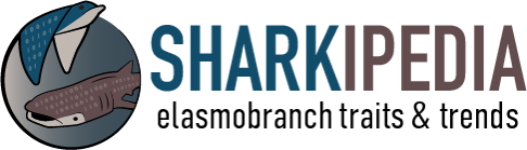 Sharkipedia